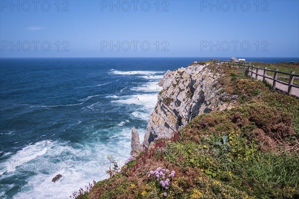 Flower-covered steep coast at Cape Cabo Penas