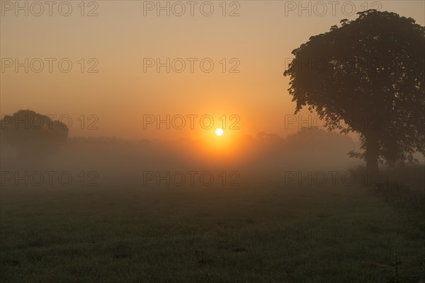 Morning fog over meadow landscape at sunrise