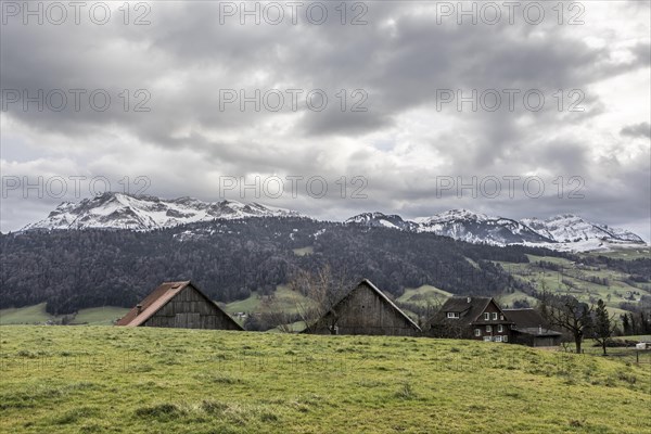 Farmhouses in front of Mount Pilatus