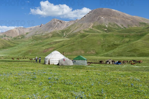 Nomad yurt camp