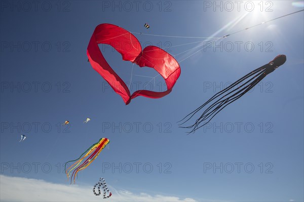 Various kites