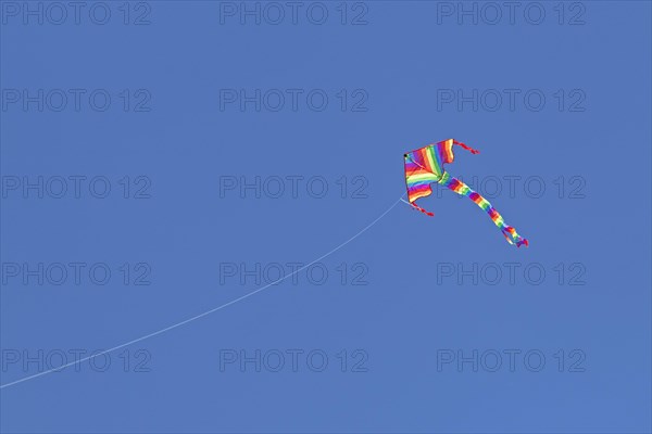 Kite in front of blue sky