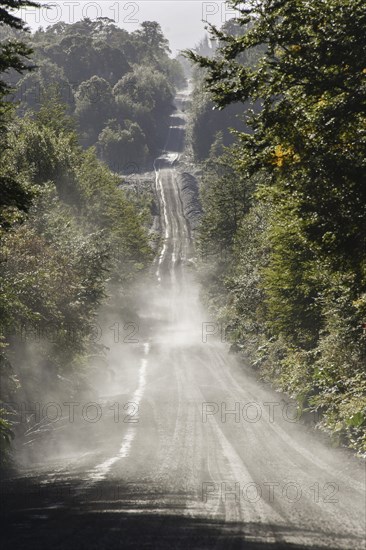 Corrugated iron pavement of Carretera Austral in temperate rainforest