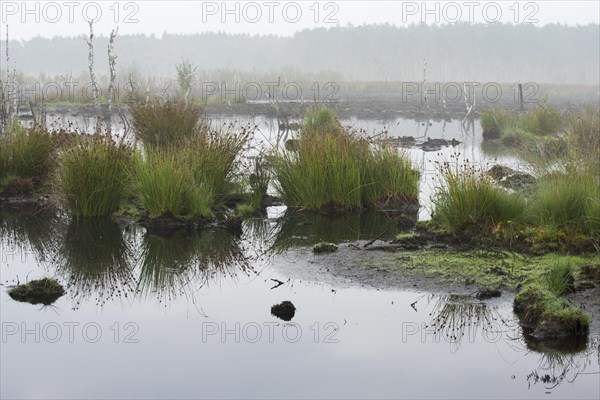 Theikenmeer nature reserve