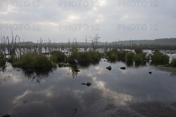 Theikenmeer nature reserve
