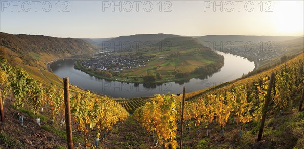 Overview of Moselschleife near Krov