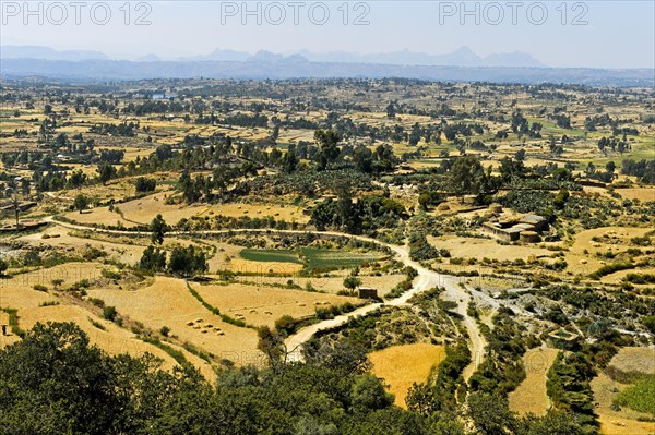 View of fields
