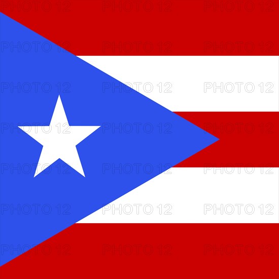 Official national flag of Puerto Rico