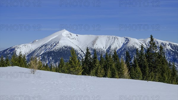 Winter landscape with Schneeberg