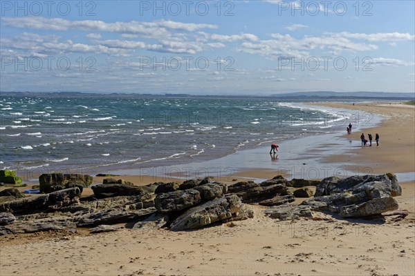 Rocky beach