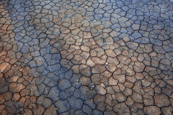 Ruptured soil in the Solfatar field at Namafjall volcano