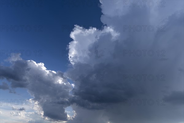 Emerging rain clouds (Nimbostratus)