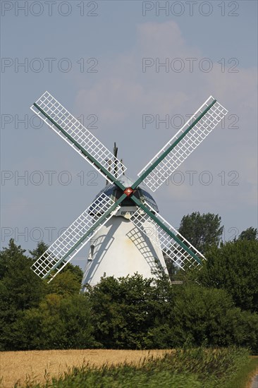 Windmill Betty