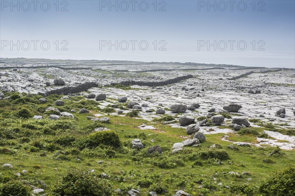 Burren karst landscape