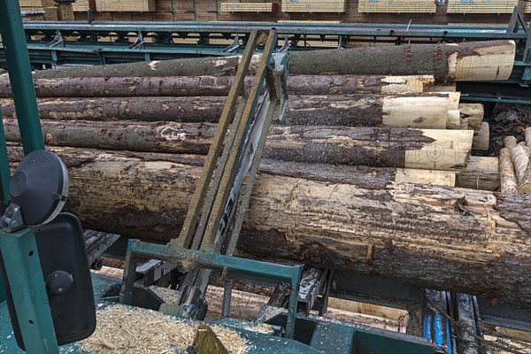 Computer controlled saw cuts a roundwood