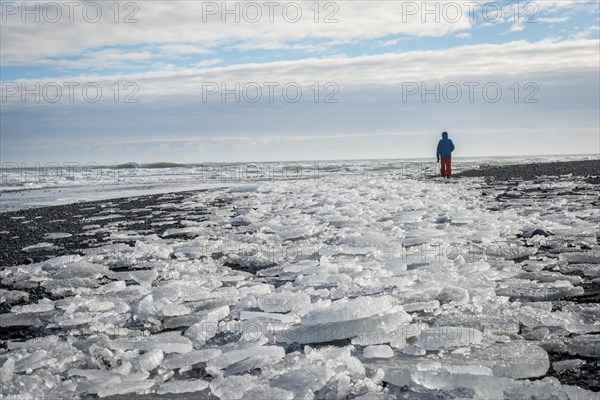 Man walking through Ice floes on black beach