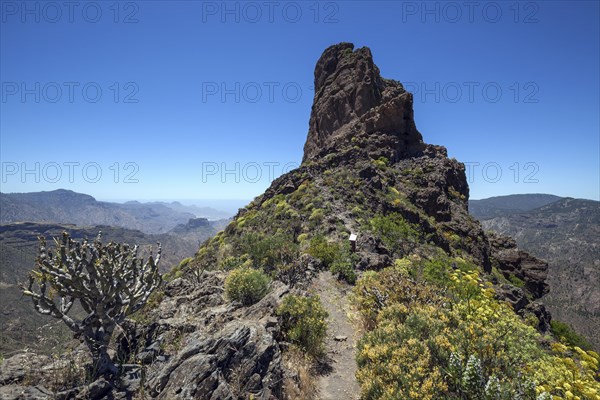 Hiking trail to Roque Bentayga