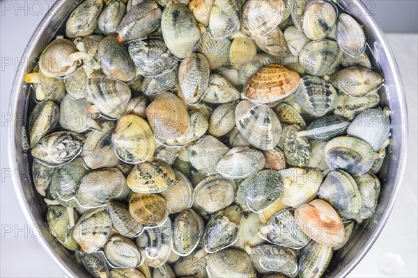 Clams in water in a silver bowl