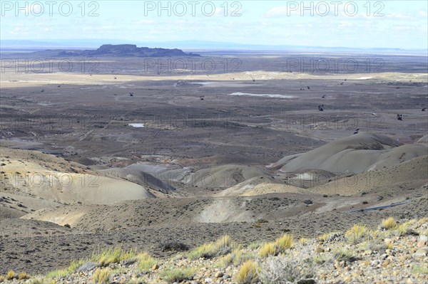 Crude oil production at Punto El Chulengo