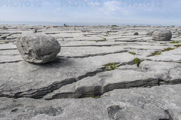 Rocks and columns in Burren karst landscape
