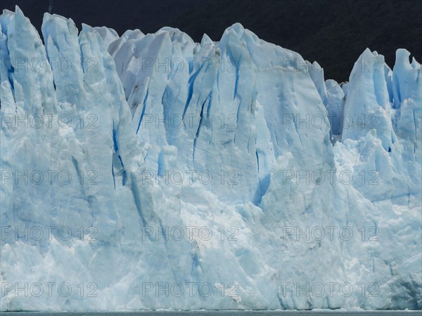 Glacier Tongue