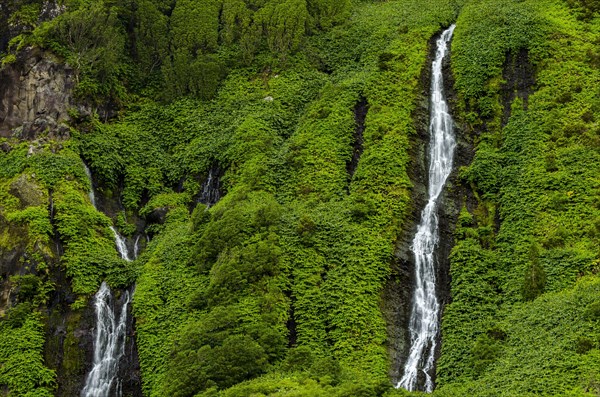 Waterfall Poco Ribeira do Ferreiro in green landscape
