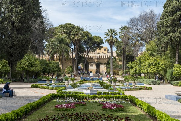 City park with fountain and flowers