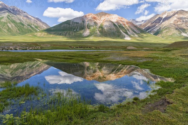 Mountains reflecting in water