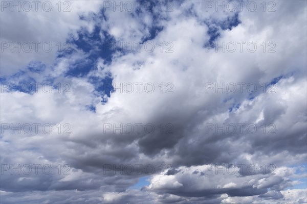 Emerging rain clouds (Nimbostratus)