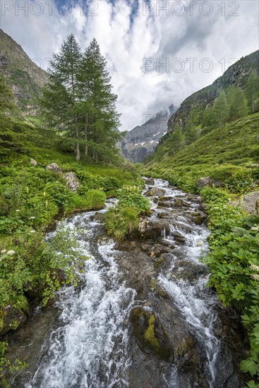 Steinriesenbach on the hiking trail to the Gollinghutte