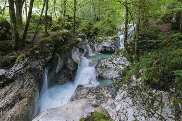 Lepenjica River