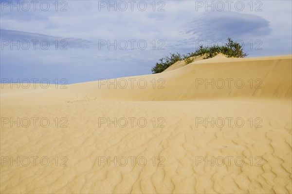 Sand dune