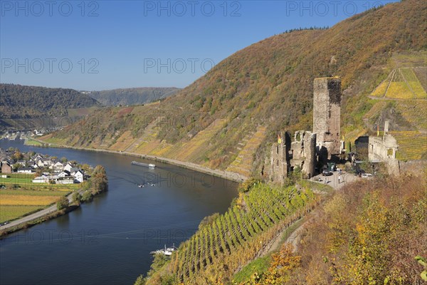 Ruins of Metternich Castle with vineyard