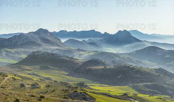 Hilly green mountain landscape