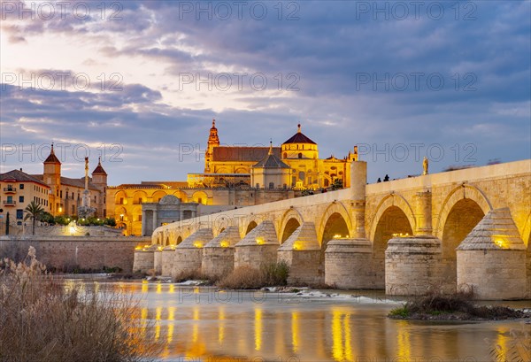 Illuminated Puente Romano