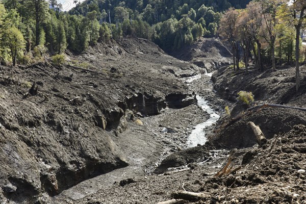 Destroyed forest by a landslide in Villa Santa Lucia