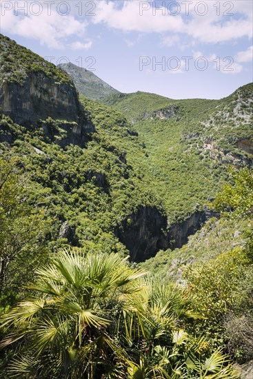 Wooded slopes