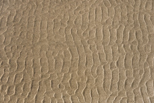 Wave structure on the beach at low tide