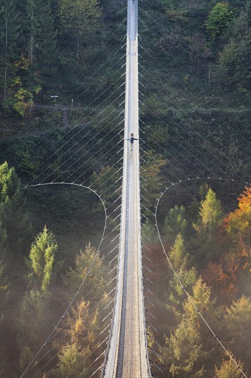 Hanging rope bridge Geierlay