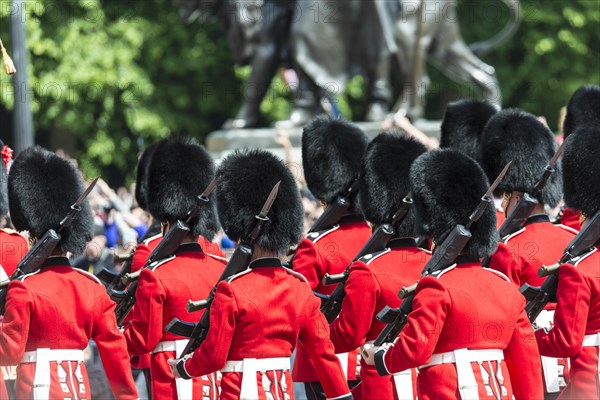 Guardsmen of the Royal Guard with bearskin cap and bayonet