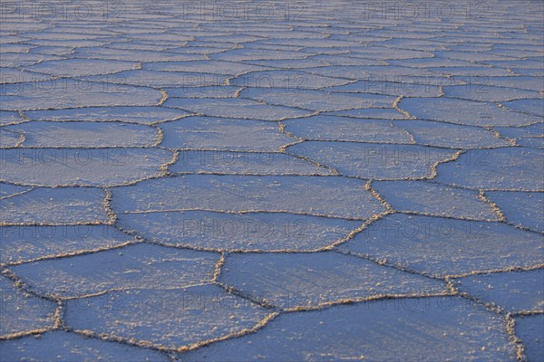 At the Salar de Uyuni