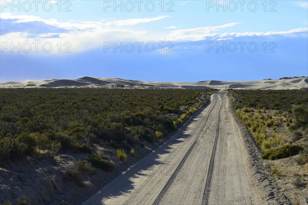 Sandtrack to the sand dunes and Punta Pardeles