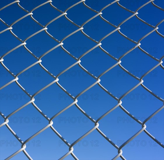 Wire mesh fence