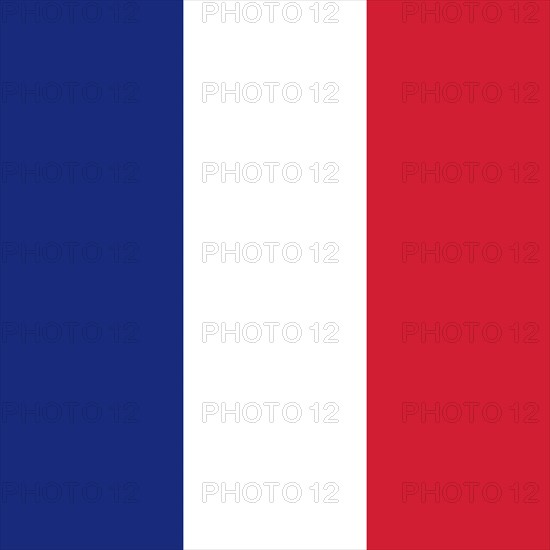 Official national flag of
