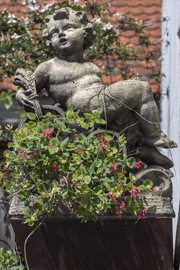 Putti figure on a wall