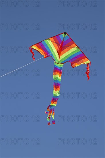 Kite in front of blue sky