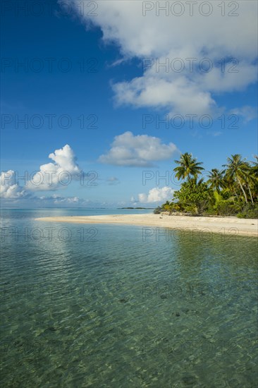 Palm fringed white sand beach in the turquoise waters of Tikehau