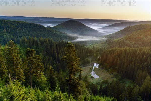 View from the viewing platform Ellbachseeblick