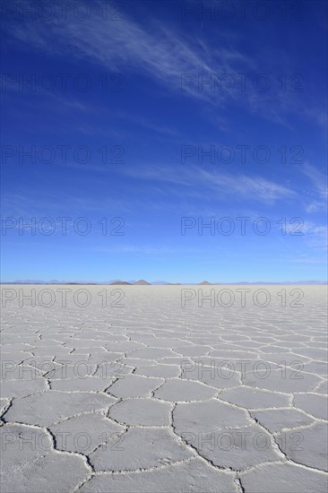 Honeycomb structure on the salt lake