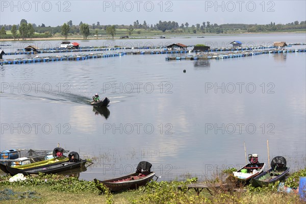 Freshwater fish farm in Lam Pao River